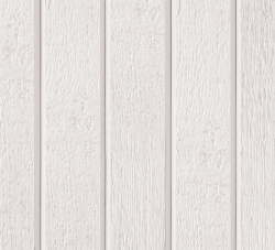 BARDAGE CANEXEL PROFIL VSTYLE COLORIS BLANC 