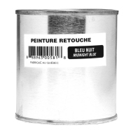 PEINTURE DE RETOUCHE KAYCAN COLORIS YELLOWSTONE